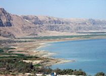 Индивидуальная экскурсия на мертвое море, гид водитель-2311