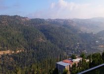 Ein Kerem-2924