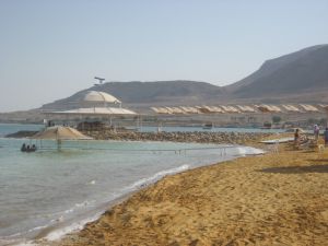 Индивидуальная экскурсия на мертвое море, гид+водитель|escape